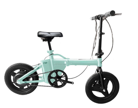 F100 Foldable Electric Bike