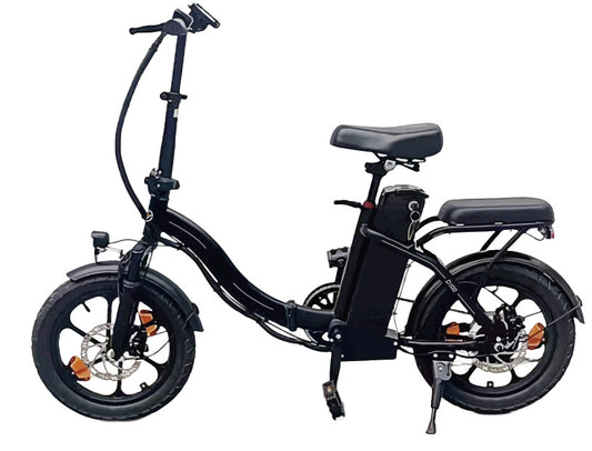 D100 Foldable Electric Bike