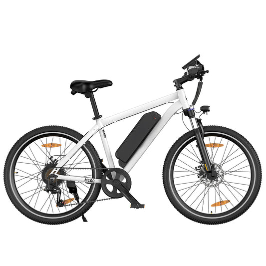 M100 Electric Bike