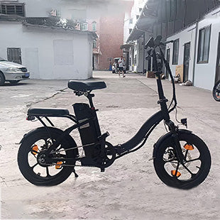 D100 Foldable Electric Bike