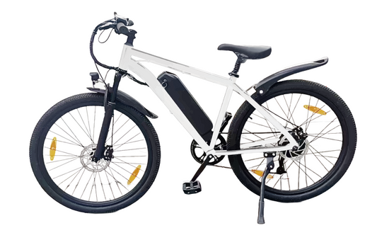 M100+ Electric Bike