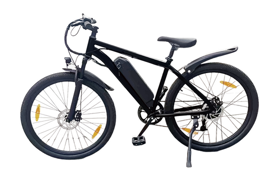 M100+ Electric Bike