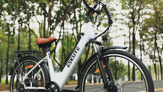 C100 Electric Bike